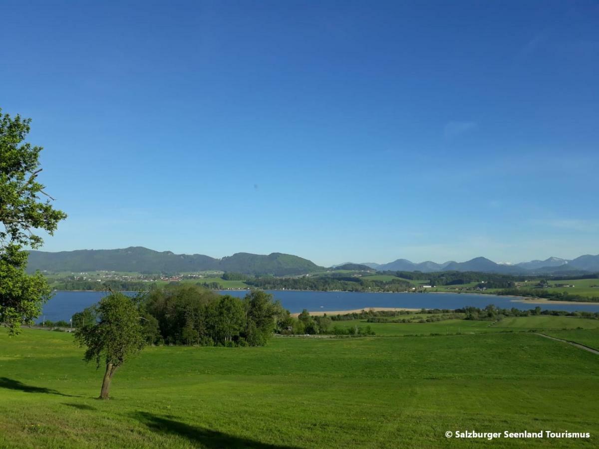 Pp-Camping Wallersee Seekirchen am Wallersee Extérieur photo